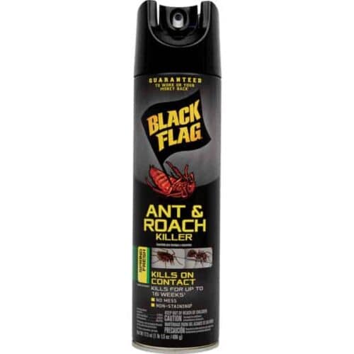 Black Flag Can Insect Spray Diversion Safe Front View