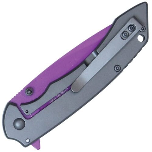 Wartech Assisted Open Folding Pocketknife Gray Handle With Purple Blade Closed Pocket Clip View