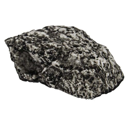 Speckled black and white rock in close-up, showcasing unique texture and natural pattern.